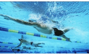 Mais quatro ouros para nadadores portugueses nos Europeus de Síndrome de Down