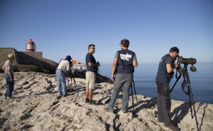 SAGRES | O melhor festival das aves e natureza de sempre