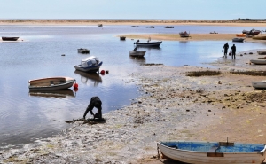 Autarquia de VRSA solicita auditoria aos laboratórios do Instituto do Mar e da Atmosfera