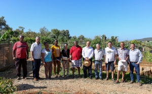 MAIS CINCO TALHÕES ENTREGUES NAS HORTAS SOCIAIS DAS BICAS VELHAS DE LOULÉ