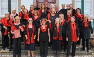 Coro dos Amigos do Museu no «Música nas Igrejas»
