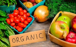 Estratégia Nacional para a Agricultura Biológica está sob consulta pública até 30 de Setembro