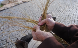 ENCONTRO SOBRE O PASSADO E FUTURO DO ESPARTO EM LOULÉ