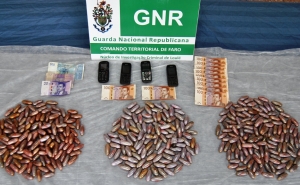 GNR de Loulé detém «mulas de droga»