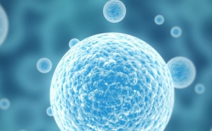 Estudo revela o potencial das células estaminais no combate ao cancro da próstata