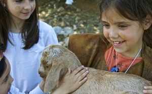 Portimão comemora Dia Internacional dos Monumentos e Sítios com recriação de «Um dia e uma noite na Pré-História»