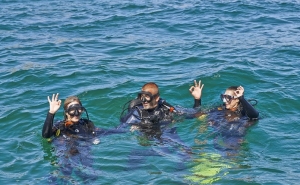 ALGARVE NATURE FEST PROMOVE TURISMO DE NATUREZA COM ATIVIDADES GRATUITAS   