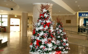 Paços do Concelho com «Natal Brilhante»   