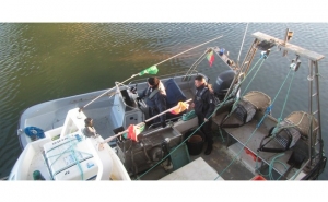 Polícia Marítima apreende mais de 20 kg de conquilha a embarcação espanhola