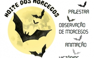 Noite de Morcegos em Alte