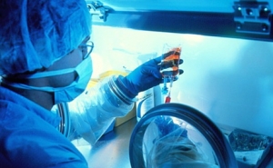 Investigadores da Universidade do Algarve descobrem composto para tratar cancro