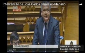 PSD Algarve | A defesa da plantação do medronheiro