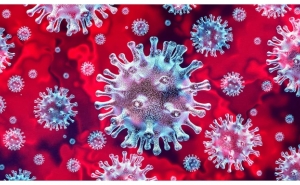 AUTARQUIA DE LOULÉ SUSPENDE PROGRAMA DE FÉRIAS DA PÁSCOA PARA ALUNOS DO CONCELHO COMO MEDIDA DE PREVENÇÃO DO CORONAVÍRUS