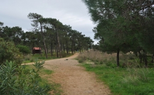 Instalados painéis informativos em área piloto de projeto europeu no Algarve