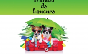 «O Tratado da Loucura» de Cristina Silva apresentado na Biblioteca de Loulé