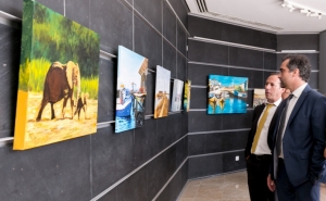 Pintores olhanenses expõem na Galeria da Biblioteca José Mariano Gago