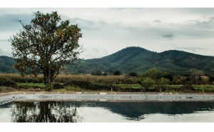 Fotografar Terras de Cal e Barro 