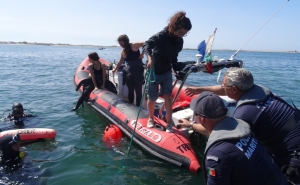 Removidos 150 quilogramas de materiais poluentes da Ria Formosa, no Algarve