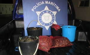Polícia Marítima apreende 50 Kg de longueirão na Ria Formosa