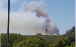  Bombeiros continuam a fazer frente a reativações em Vila do Bispo