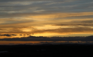 Expressões artísticas distintas em exposição na Galeria da Biblioteca