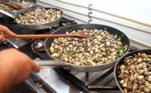 13ª Edição do Festival do Berbigão | 12 e 13 de setembro