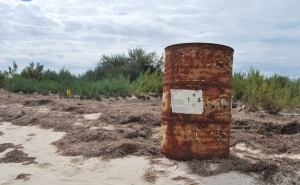 Ação de limpeza na Ria Formosa recolhe cerca de 1 tonelada de resíduos