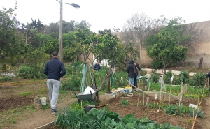 Câmara entrega mais Hortas Sociais a famílias de Lagos
