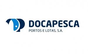 Docapesca abre concurso público para reabilitar cais sul do porto da Baleeira