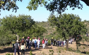 Caminhada na Cortelha em época de Castanhas