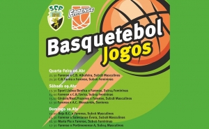FARENSE BASQUETEBOL | Atletas brilham na Festa do Basquetebol
