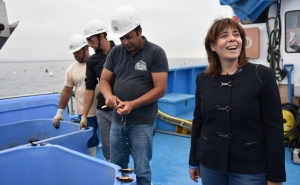 Bloco de Esquerda | Catarina Martins em Faro