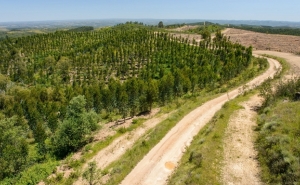 GABINETE TÉCNICO FLORESTAL DE ODEMIRA RECEBE FINANCIAMENTO DO FUNDO FLORESTAL PERMANENTE