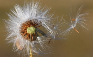 Exposição «Aos Olhos do CCMAR» inaugura no Mar Shopping Algarve