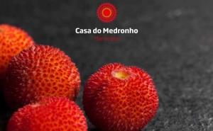 Casa do Medronho inaugura em Marmelete