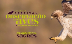 Inscrições abertas para o maior festival de natureza