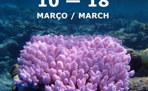 MAR Shopping Algarve recebe uma das maiores exposições de fotografia marinha