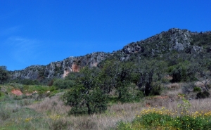 MUNICÍPIO DE LOULÉ INICIA PROGRAMA NO INTERIOR DO CONCELHO CONTRA OS INCÊNDIOS FLORESTAIS