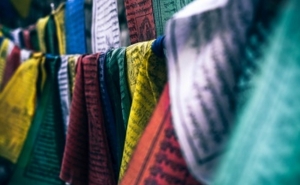 2019, Ano Internacional das Línguas Indígenas