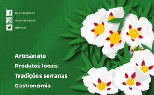 FEIRA DA SERRA DE LOULÉ DECORRE ESTE Fim-de-semana EM NOVO LOCAL