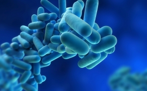 Legionella detetada em centro de saúde de Vila Real de Santo António