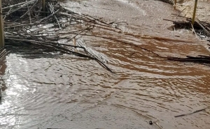 Mulher de 85 anos morre em Silves após veículo ser arrastado para ribeiro