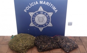 Polícia Marítima apreendeu 32 kg de perceves na Costa Vicentina