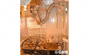 10 quilos de cannabis apreendidos em Quarteira