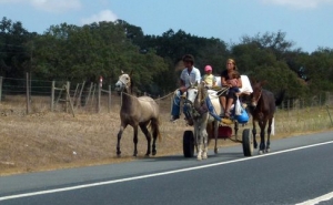 Akredita em Ti candidata-se ao Programa Bairros Saudáveis com «Afro Gypsy Costura»