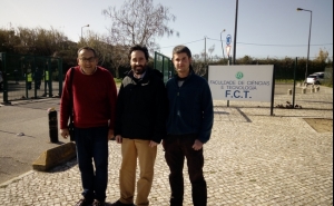 Paleontólogos portugueses descobrem nova espécie: o mais antigo crocodilo fóssil conhecido