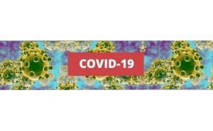 Covid-19: Estudo conclui que monumentos se voltaram para «online» e visitantes locais