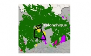 ALMARGEM | Serra de Monchique novamente a arder