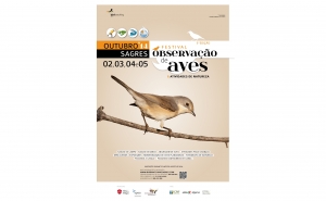 V Festival de Observação de Aves de Sagres:  inscrições abertas desde o dia 18 de agosto