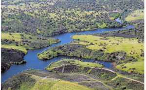 Vai nascer um projeto imobiliário em Grândola após investimento de 200 milhões